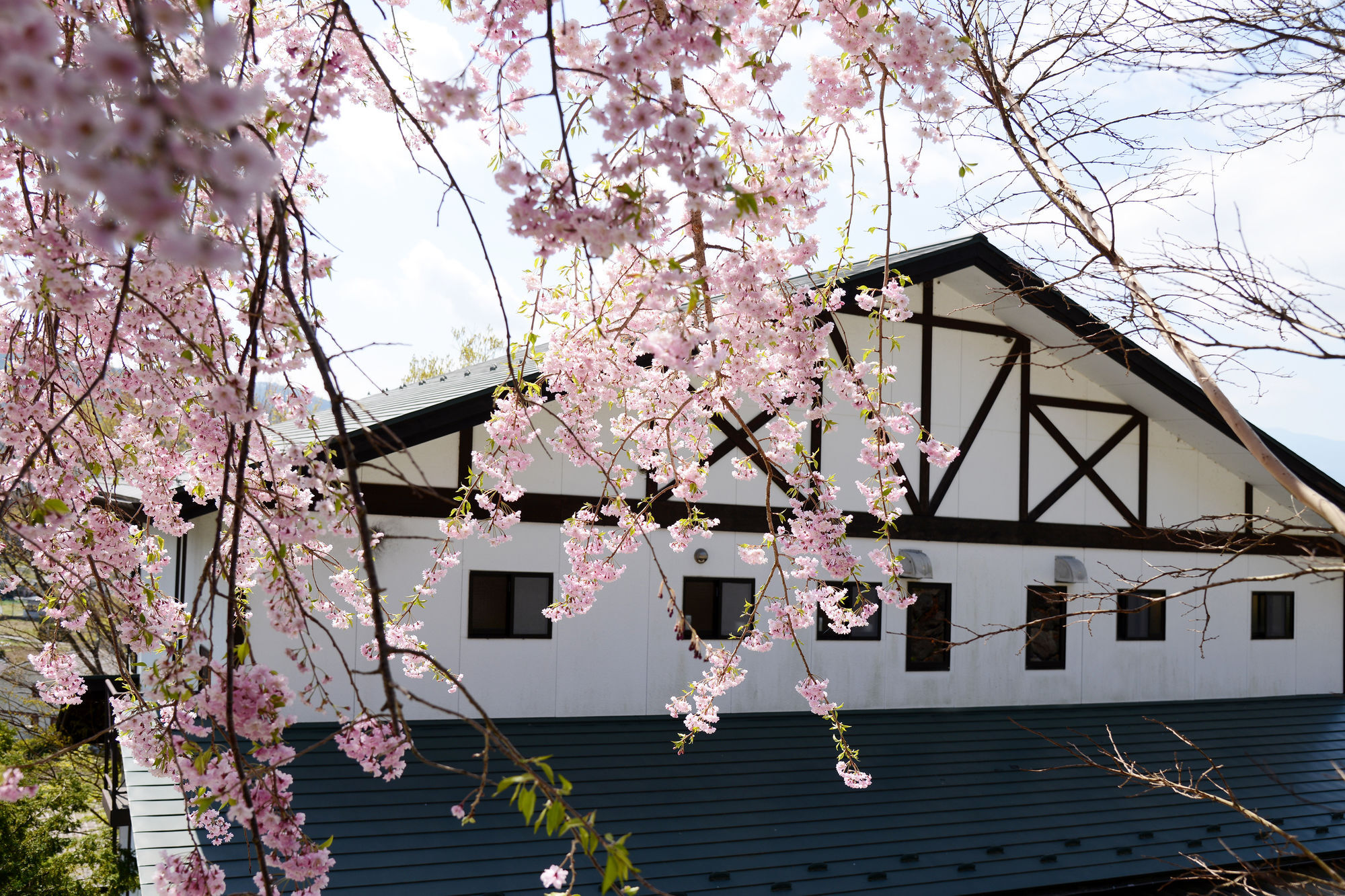 Kawaguchiko Country Cottage Ban Fujikawaguchiko Exterior photo